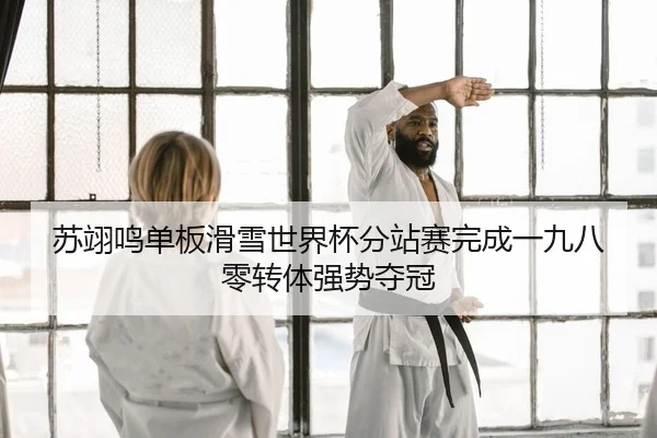 su-yi-ming-dan-ban-hua-xue-shi-jie-bei-fen-zhan-sai-wan-cheng-yi-jiu-ba-ling-zhuan-ti-qiang-shi-duo-guan-2-998.jpg